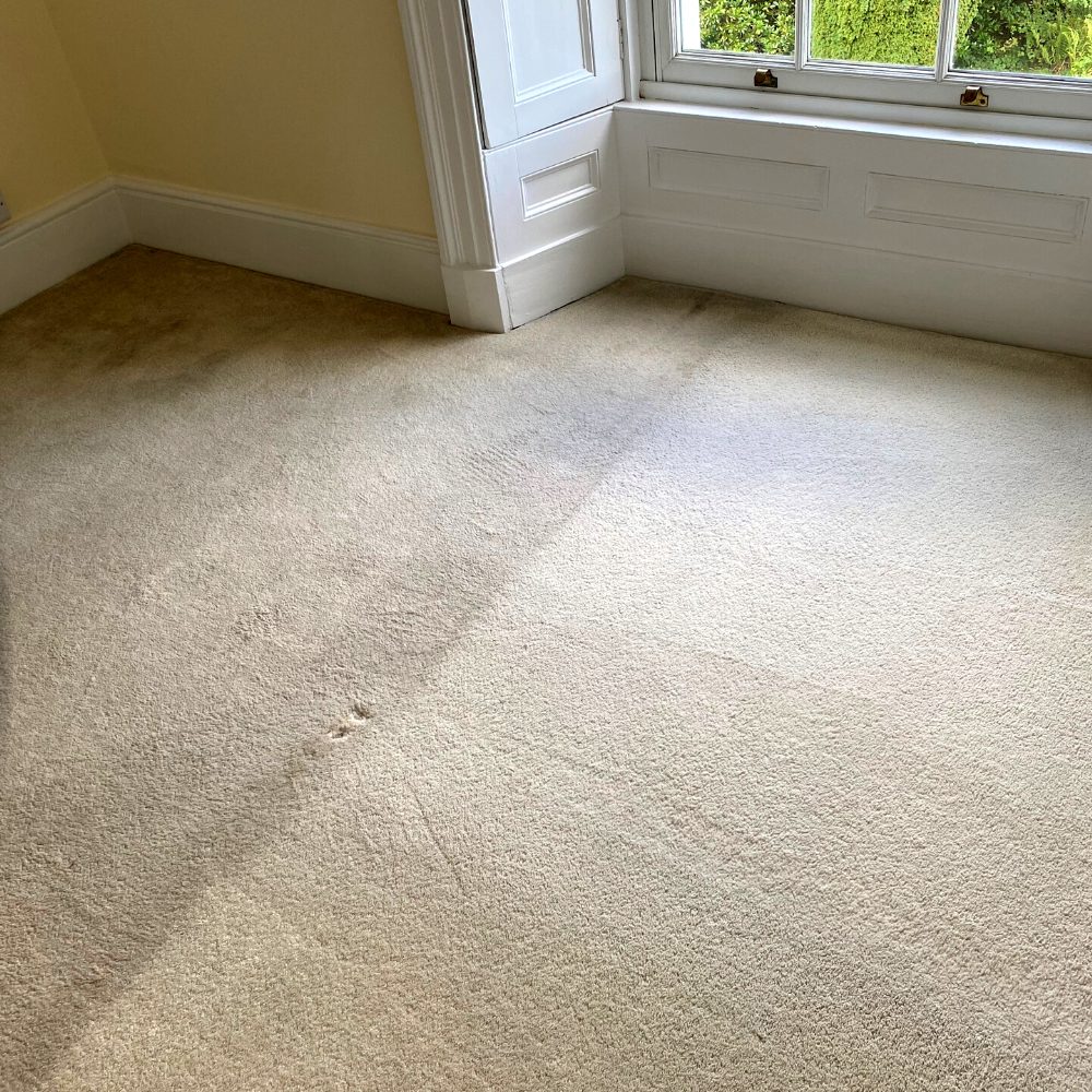 Carpet Cleaning example 2